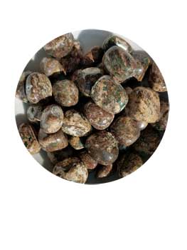 1 lb Jasper, Green Leopard Skin tumbled stones